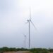 Incrementará Tamaulipas más de 2500 MW con proyectos eólicos