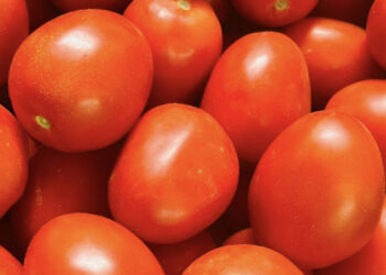Gobierno y sector privado firman acuerdo para estabilizar precio del tomate