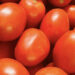 Gobierno y sector privado firman acuerdo para estabilizar precio del tomate